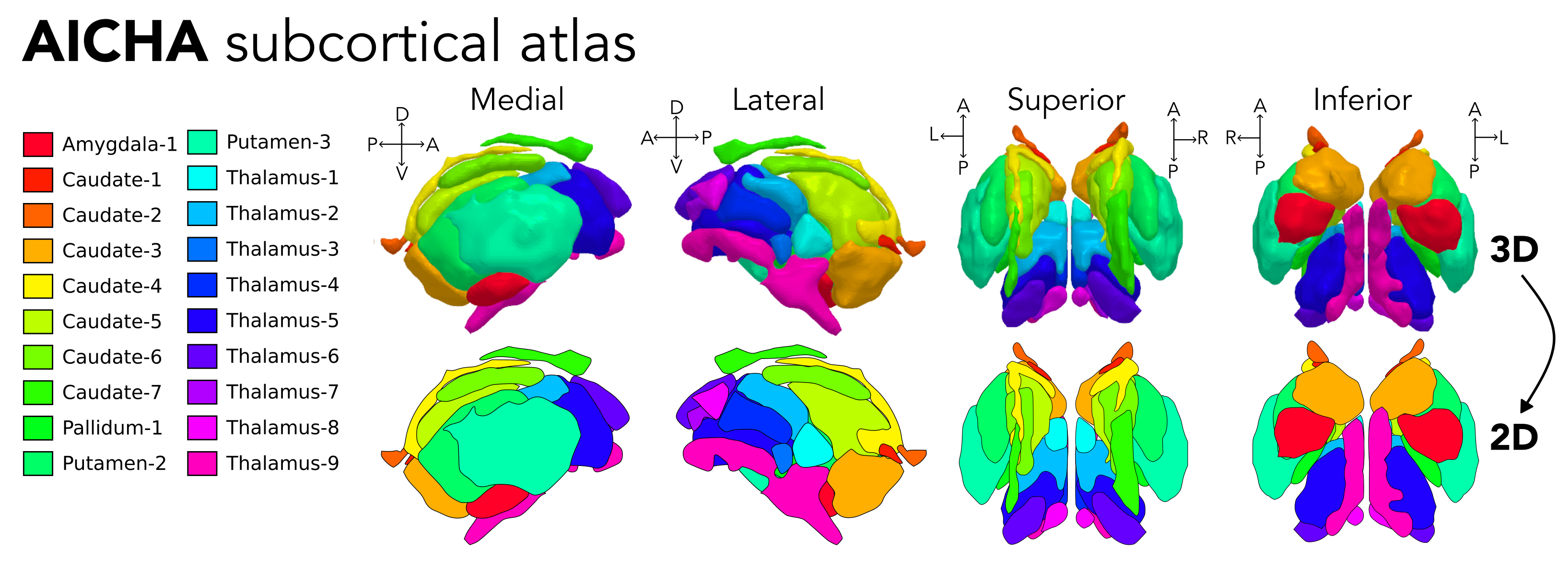 AICHA subcortical atlas information